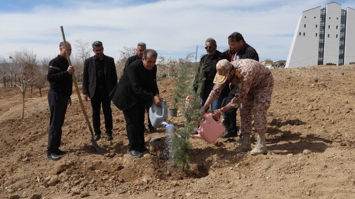 درخت