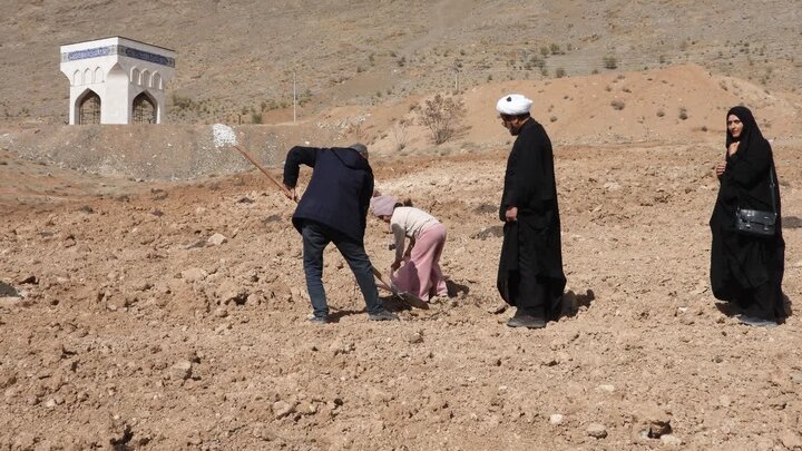 درخت
