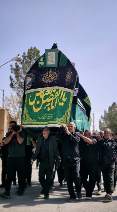 آیین سنتی نخل‌برداری به مناسبت شهادت امام علی (ع)درحسین‌آباد کویر
