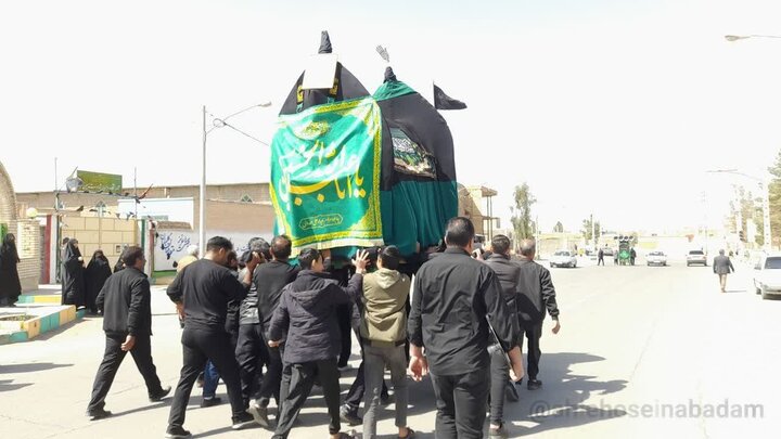 آیین سنتی نخل‌برداری به مناسبت شهادت امام علی (ع)درحسین‌آباد کویر