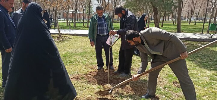 درختکاری