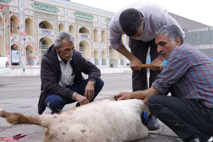 تصاویر/ قربانی چند رأس گوسفند با مشارکت ستاد نماز جمعه کرمان برای سلامتی رهبر انقلاب اسلامی