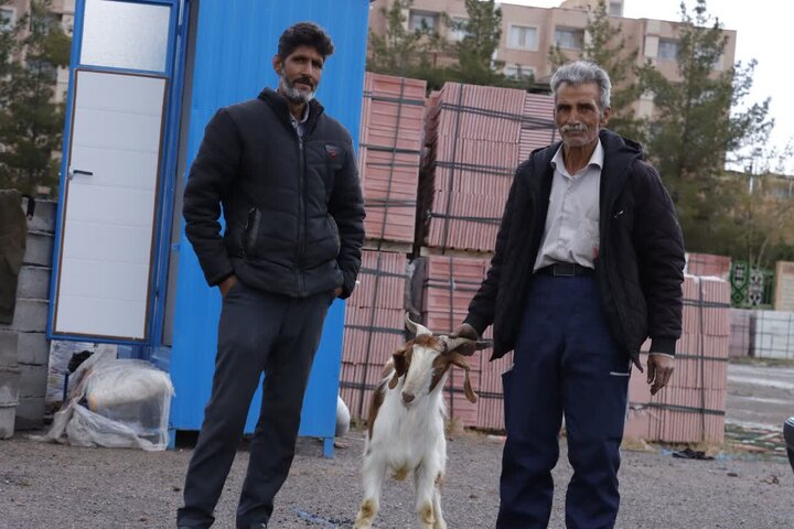 تصاویر/ قربانی چند رأس گوسفند با مشارکت ستاد نماز جمعه کرمان برای سلامتی رهبر انقلاب اسلامی