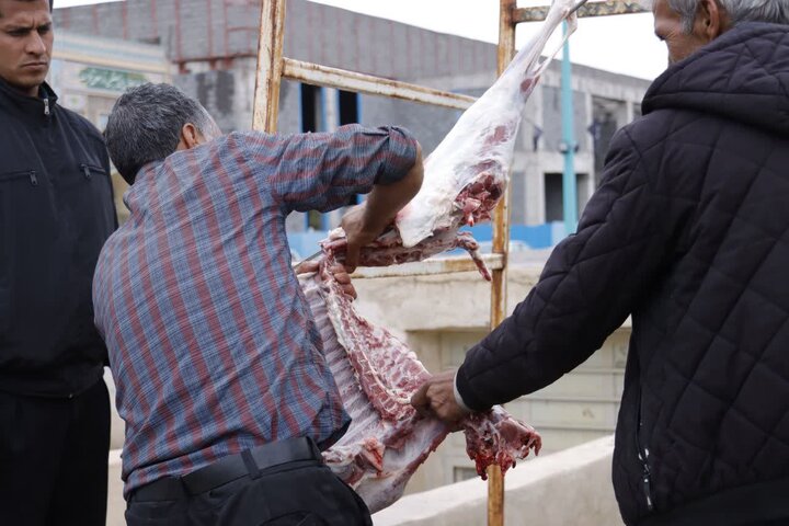 تصاویر/ قربانی چند رأس گوسفند با مشارکت ستاد نماز جمعه کرمان برای سلامتی رهبر انقلاب اسلامی