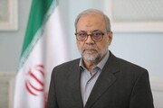 ڈاکٹر باقر ذوالقدر رہبرِ انقلاب کے سیاسی مشیر مقرر