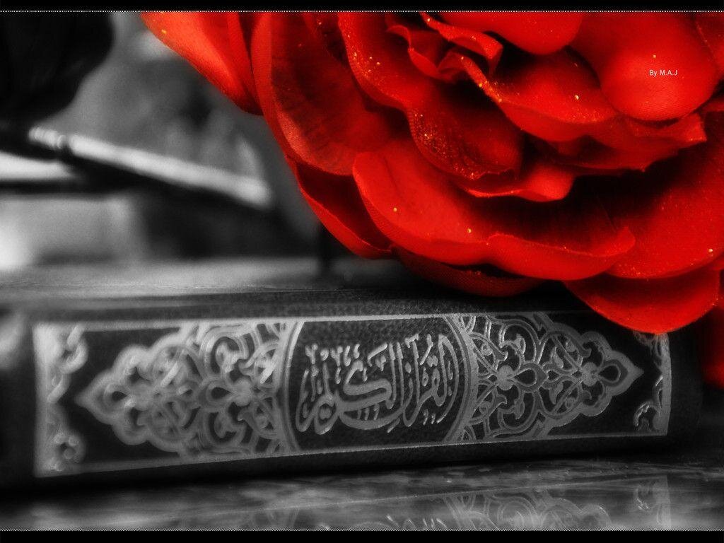مراتب یقین از نگاه قرآن