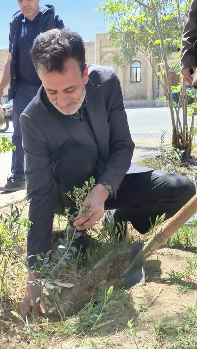 تصاویر/پویش ۱۶۸ اصله نهال دربوستان و بلوار امامزاده بی بی زینب (س) به یادبود رهبر شهید
