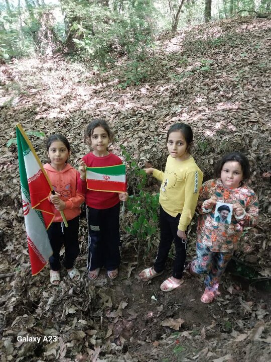 پویش کاشت نهال