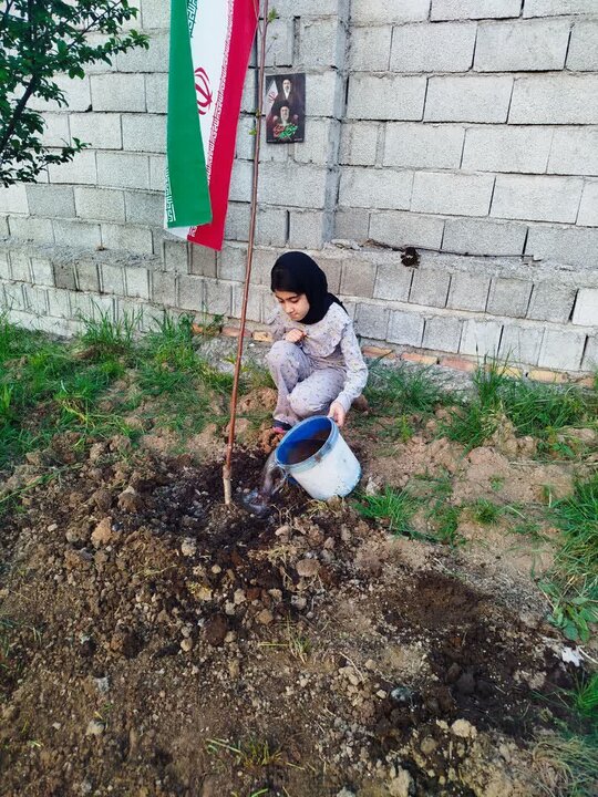 پویش کاشت نهال