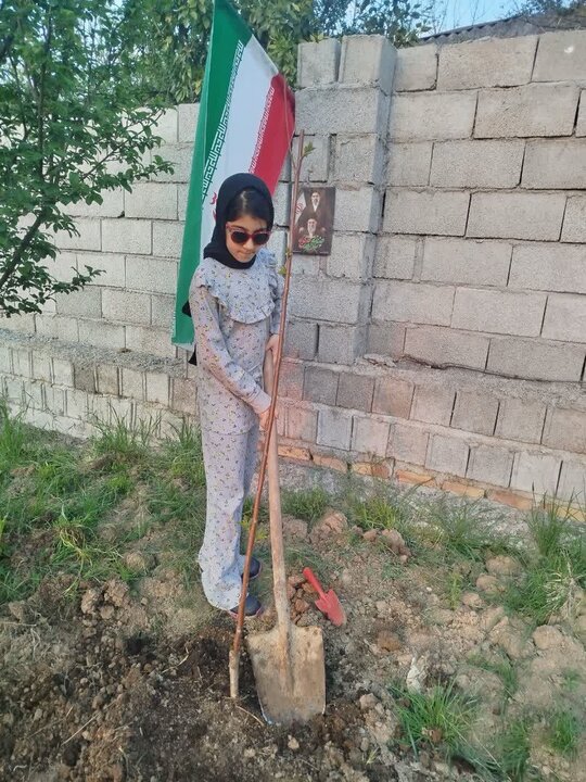 پویش کاشت نهال