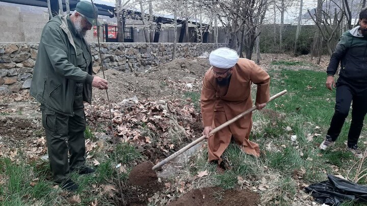 تصاویر / غرس نهال میوه توسط امام جمعه تبریز