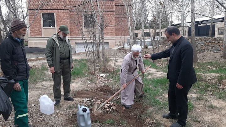 تصاویر / غرس نهال میوه توسط امام جمعه تبریز