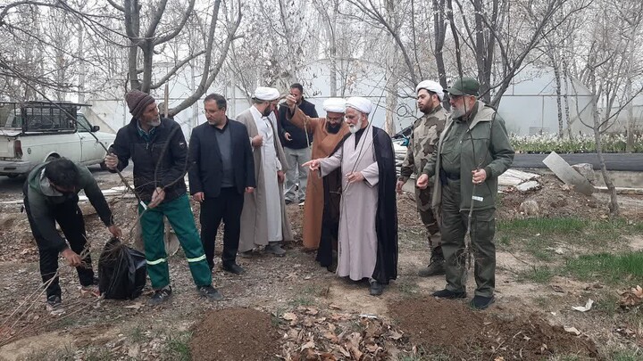 تصاویر / غرس نهال میوه توسط امام جمعه تبریز