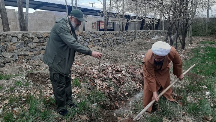 تصاویر / غرس نهال میوه توسط امام جمعه تبریز