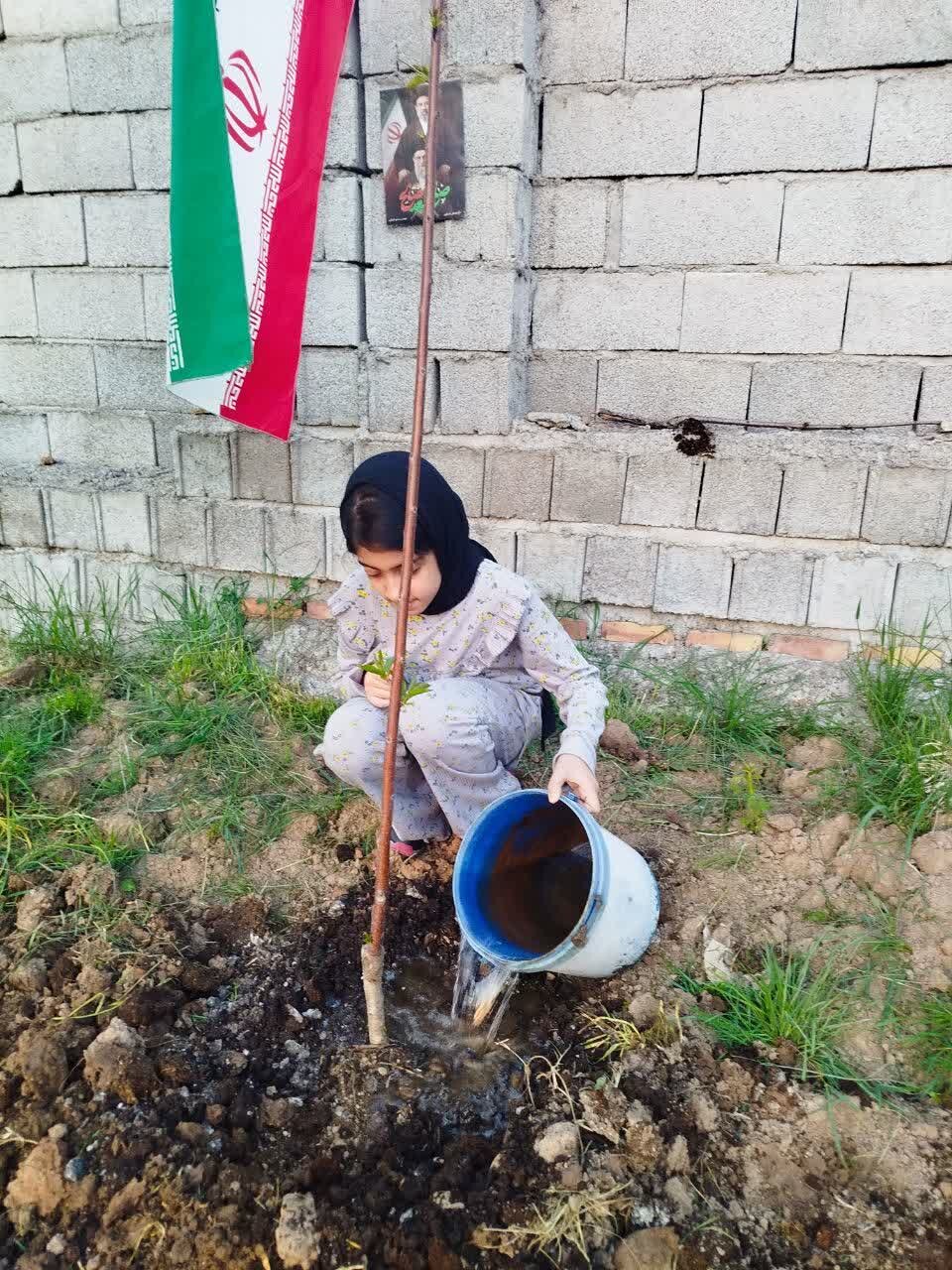 تصاویر / پویش «ایران کاشت»