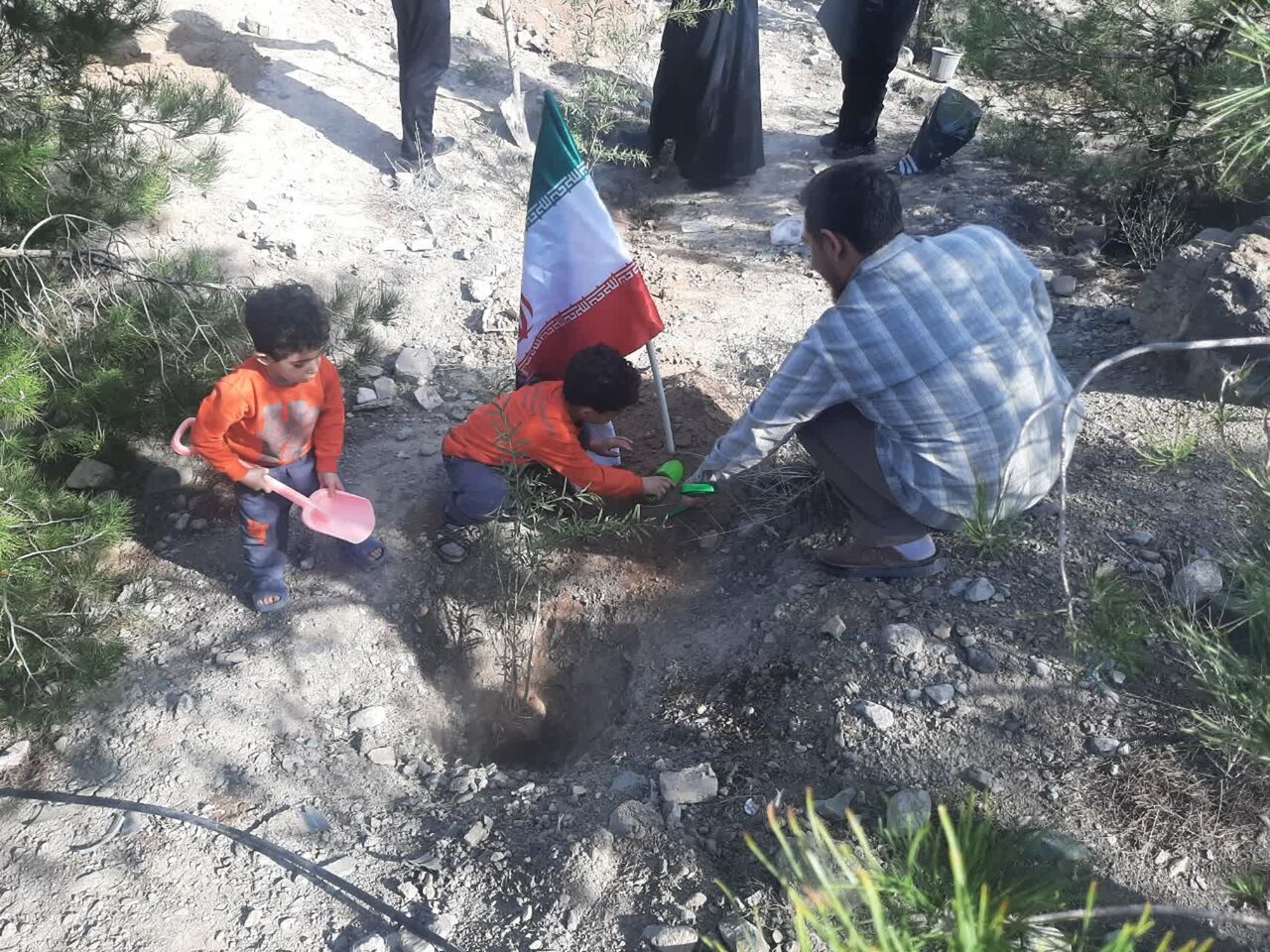تصاویر/ کاشت ۷۵ اصله نهال؛ به نیت شهدای جنگ ۱۲ روزه و جنگ رمضان درکاشان
