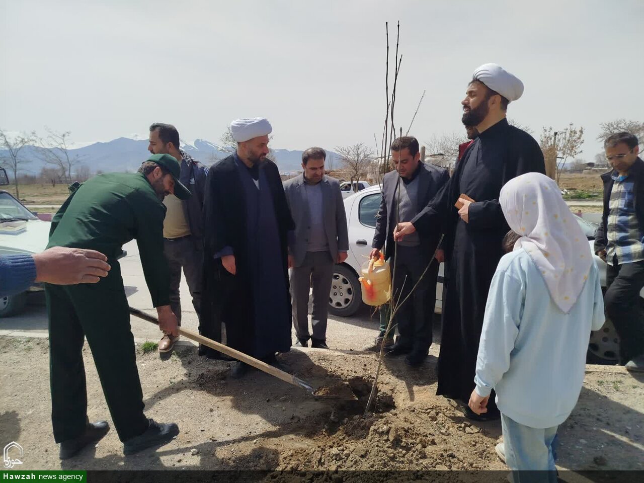 درختکاری