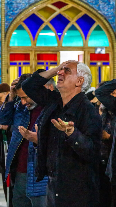 تصاویر/ سی و سومین تجمع بزرگ مردم غیور شهرستان آران و بیدگل در نجف ایران