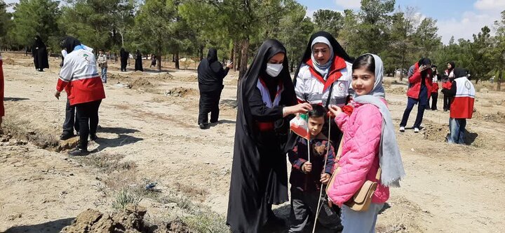 تصاویر / پویش ملی درختکاری «سرو ایران» در شهرستان سمنان همزمان با سراسر کشور