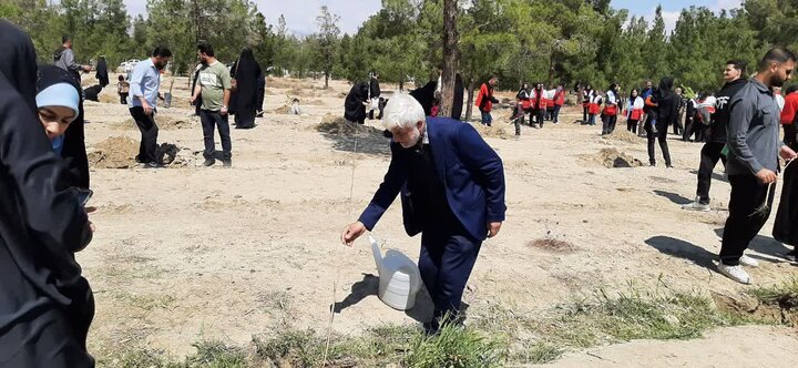 تصاویر / پویش ملی درختکاری «سرو ایران» در شهرستان سمنان همزمان با سراسر کشور