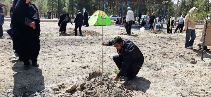 تصاویر / پویش ملی درختکاری «سرو ایران» در شهرستان سمنان همزمان با سراسر کشور