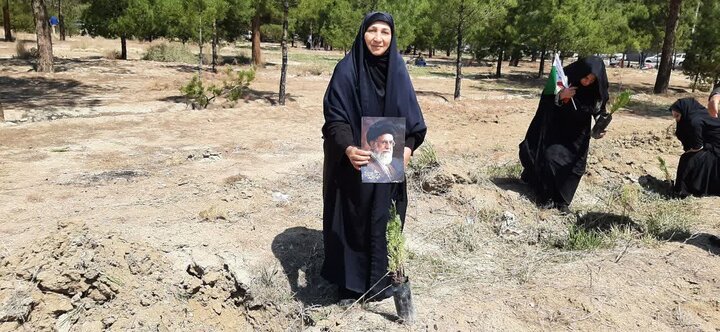 تصاویر / پویش ملی درختکاری «سرو ایران» در شهرستان سمنان همزمان با سراسر کشور