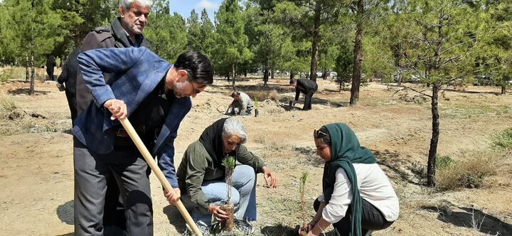 تصاویر / پویش ملی درختکاری «سرو ایران» در شهرستان سمنان همزمان با سراسر کشور