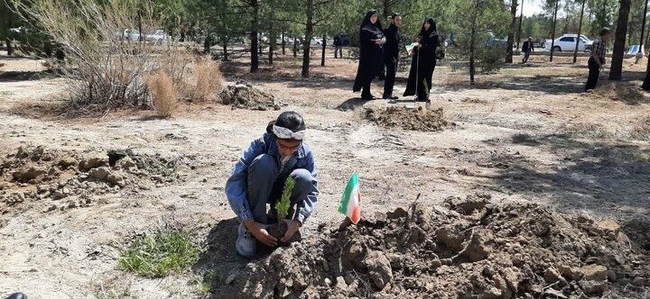 تصاویر / پویش ملی درختکاری «سرو ایران» در شهرستان سمنان همزمان با سراسر کشور