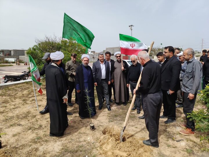 تصاویر/ کاشت نهال