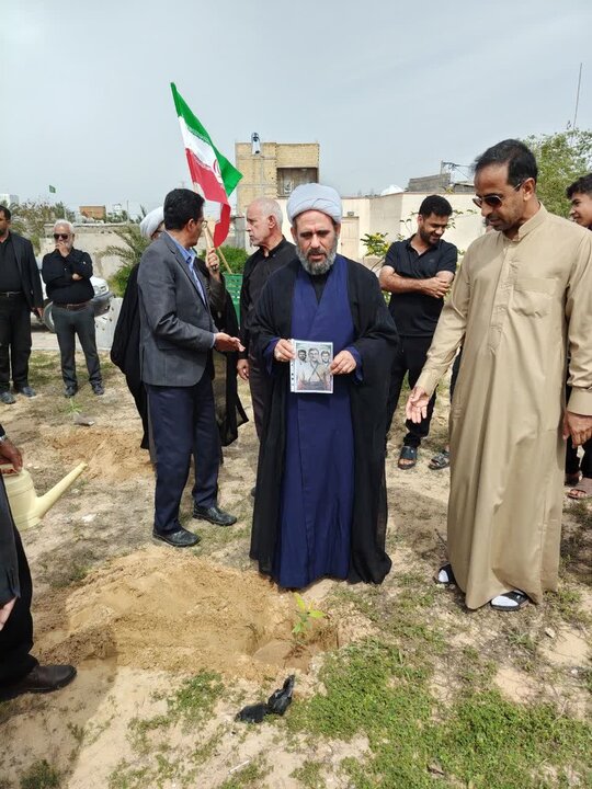 تصاویر/ کاشت نهال