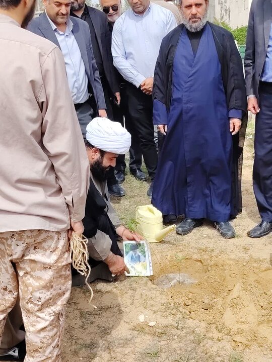 تصاویر/ کاشت نهال