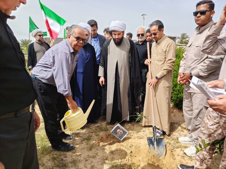 تصاویر/ کاشت نهال