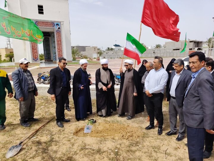 تصاویر/ کاشت نهال