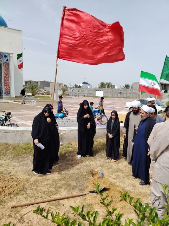 تصاویر/ کاشت نهال