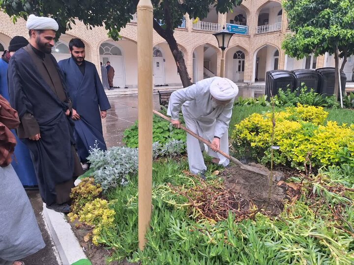 کاشت نهال مثمر، توسط امام جمعه شهرستان بابل، حجت الاسلام و المسلمین روحانی