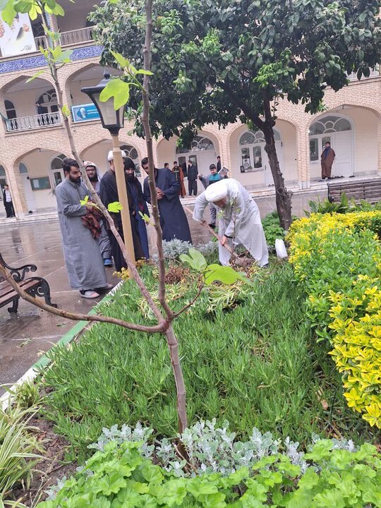 کاشت نهال مثمر، توسط امام جمعه شهرستان بابل، حجت الاسلام و المسلمین روحانی