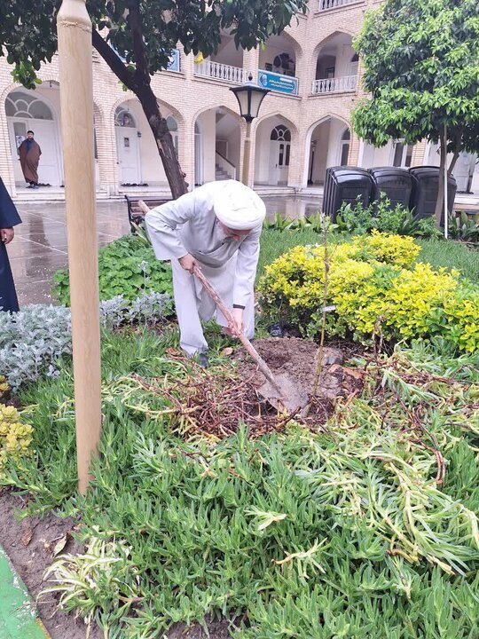 کاشت نهال مثمر، توسط امام جمعه شهرستان بابل، حجت الاسلام و المسلمین روحانی