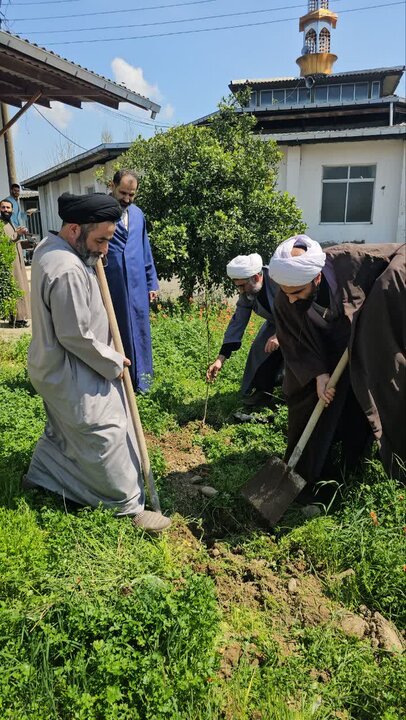 تصاویر / طلاب مدرسه علمیه «فیضیه» بابل به پویش «کاشت نهال» پیوستند