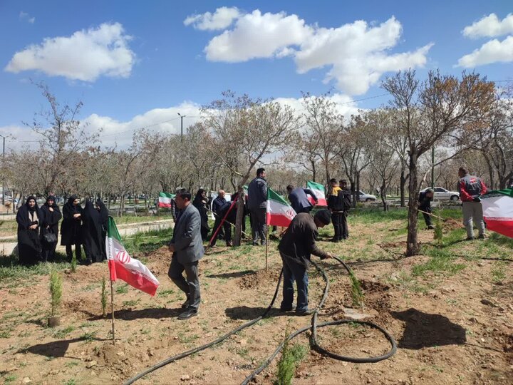 تصاویر/کاشت ۱۳هزار و پانصد اصله نهال بمناسبت چهلمین روز شهادت قائد امت در اراک