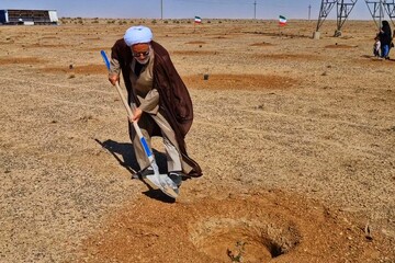 فیلم| مراسم درختکاری با حضور حجت‌الاسلام والمسلمین ملکی و جمعی از کارکنان مرکز مدیریت و معاونان حوزه علمیه قم