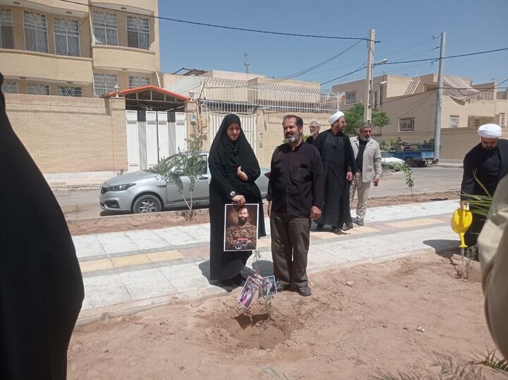 تصاویر/ کاشت درخت یادبود شهادت دانش آموزان شهید مدرسه میناب