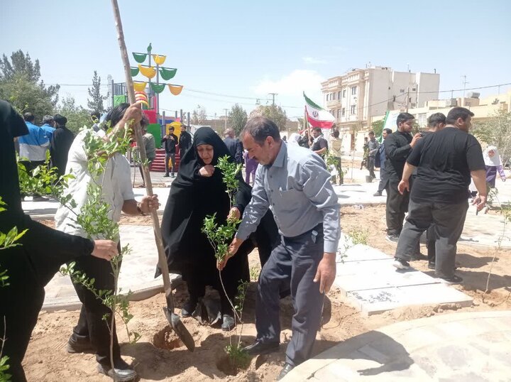 تصاویر/ کاشت درخت یادبود شهادت دانش آموزان شهید مدرسه میناب