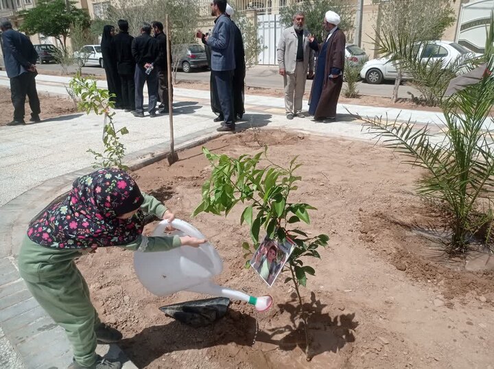 تصاویر/ کاشت درخت یادبود شهادت دانش آموزان شهید مدرسه میناب