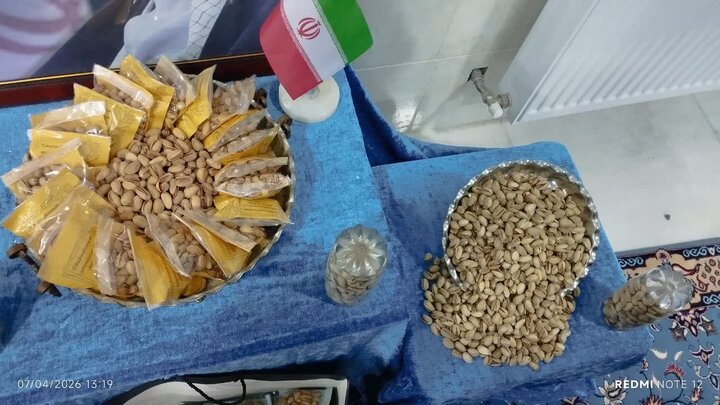تصاویر/ جمع آوری پسته برای رزمندگان توسط بانوان طلبه مدرسه علمیه فاطمیه بیاض