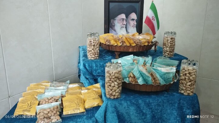 تصاویر/ جمع آوری پسته برای رزمندگان توسط بانوان طلبه مدرسه علمیه فاطمیه بیاض