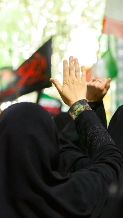 تصاویر/چهل ودو مین تجمع مردمی شهرستان آران و بیدگل در نجف ایران
