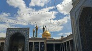 حضرت فاطمہ معصومہ سلام الله علیہا