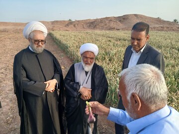 تصاویر/ بازدید نماینده کرمان در مجلس خبرگان رهبری و امام جمعه شهداد از مزارع کشت سیر