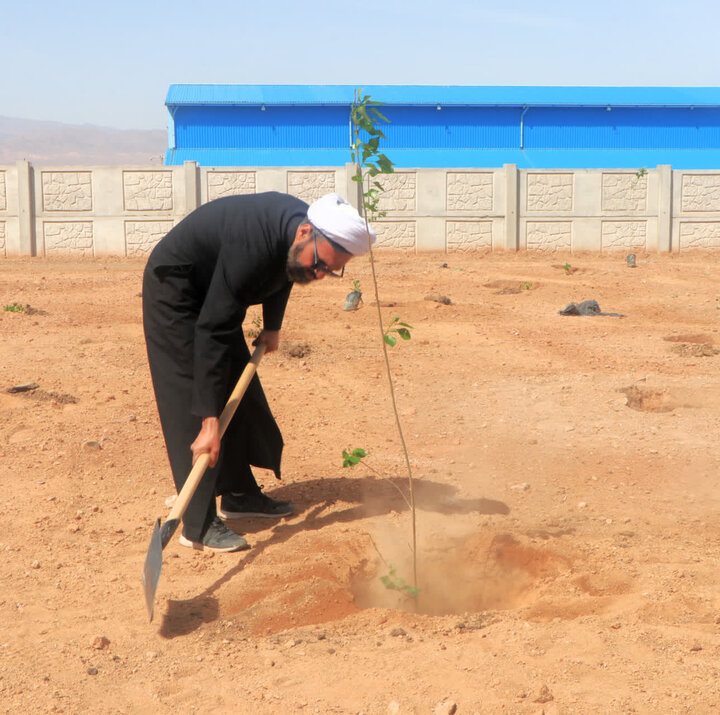 «نهال امید» در قم