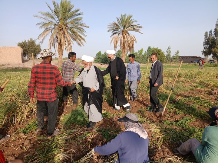 تصاویر/بازدید نماینده استان در مجلس خبرگان رهبری و امام جمعه و بخشدار شهداد از مزارع کشت سیر